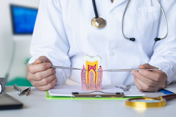 Best Emergency Dental Care for Broken or Chipped Teeth in Holdrege, NE